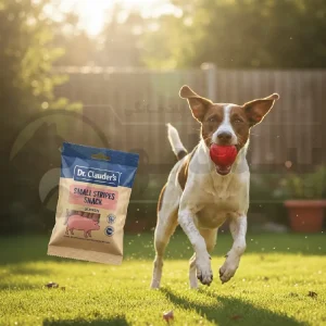 تشویقی سگ دکتر کلادرز Dr. Clauder's مدل نواری طعم خوک